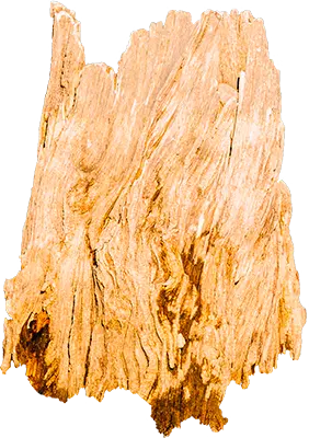 Gaiac wood raw material reine de saba paris