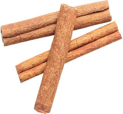Cinnamon raw material reine de saba paris